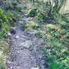daisystorey_x Altpins Profile Picture