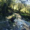 daisystorey_x Altpins Profile Picture