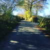 daisystorey_x Altpins Profile Picture