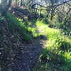 daisystorey_x Altpins Profile Picture