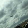 daisystorey_x Altpins Profile Picture