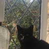 daisystorey_x Altpins Profile Picture