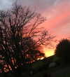 daisystorey_x Altpins Profile Picture