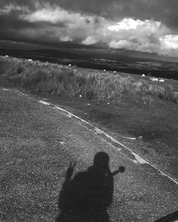 daisystorey_x daisystorey_x archive image