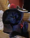 daisystorey_x Altpins Profile Picture