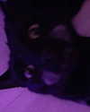 daisystorey_x Altpins Profile Picture