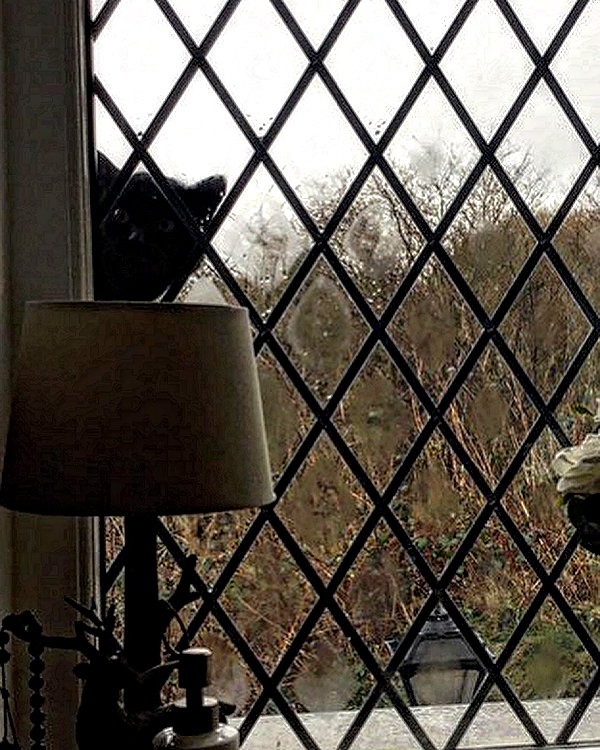 daisystorey_x instagram image archive image