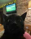 daisystorey_x Altpins Profile Picture