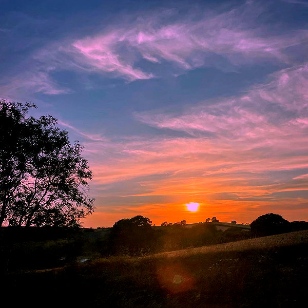 daisystorey_x instagram image archive image