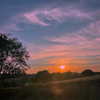 daisystorey_x Altpins Profile Picture