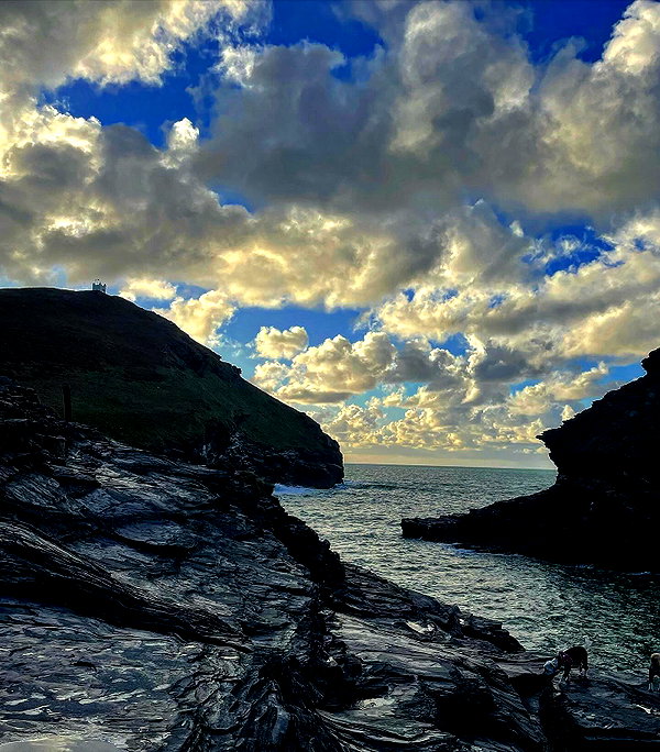 daisystorey_x instagram image archive image