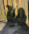daisystorey_x Altpins Profile Picture