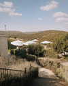 dana_kedem Altpins Profile Picture