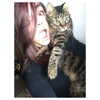 danackv Altpins Profile Picture