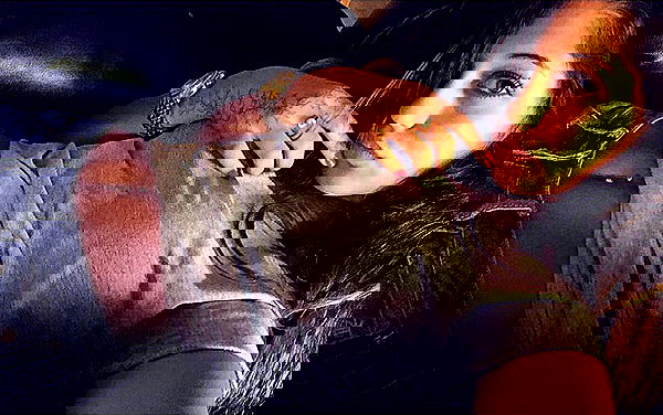 daniel_shallom image ~ Altpins