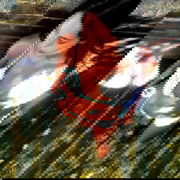 daniel_shallom image ~ Altpins