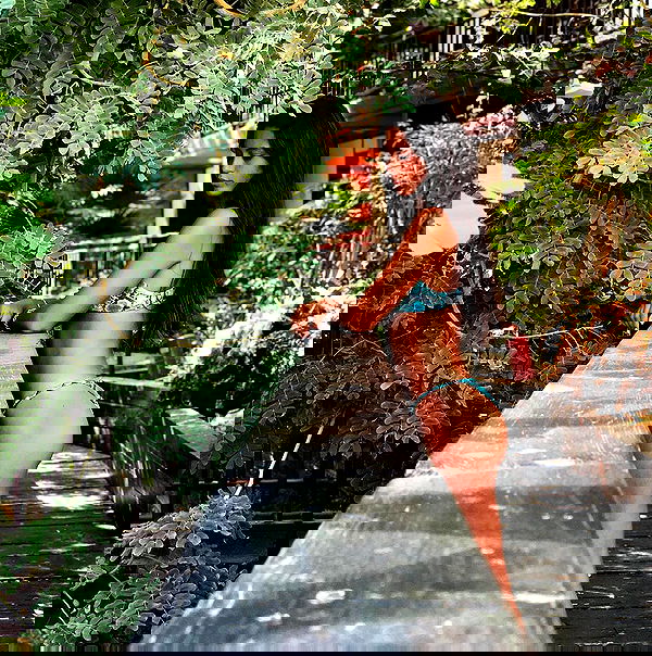 daniel_shallom image ~ Altpins