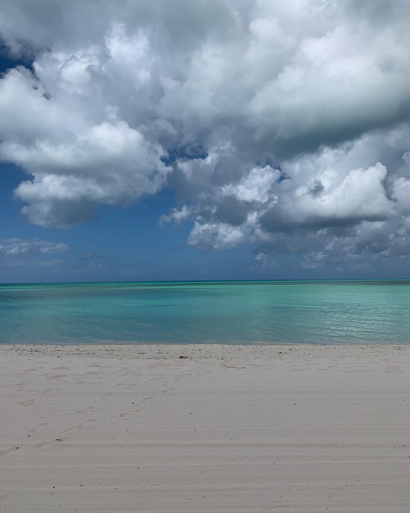 daniel_shallom instagram image archive image