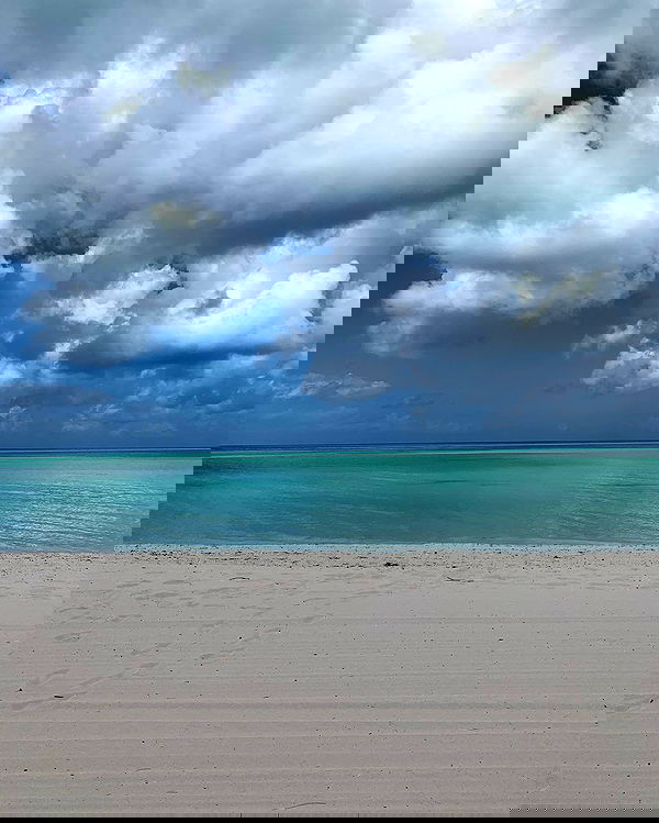 daniel_shallom image ~ Altpins