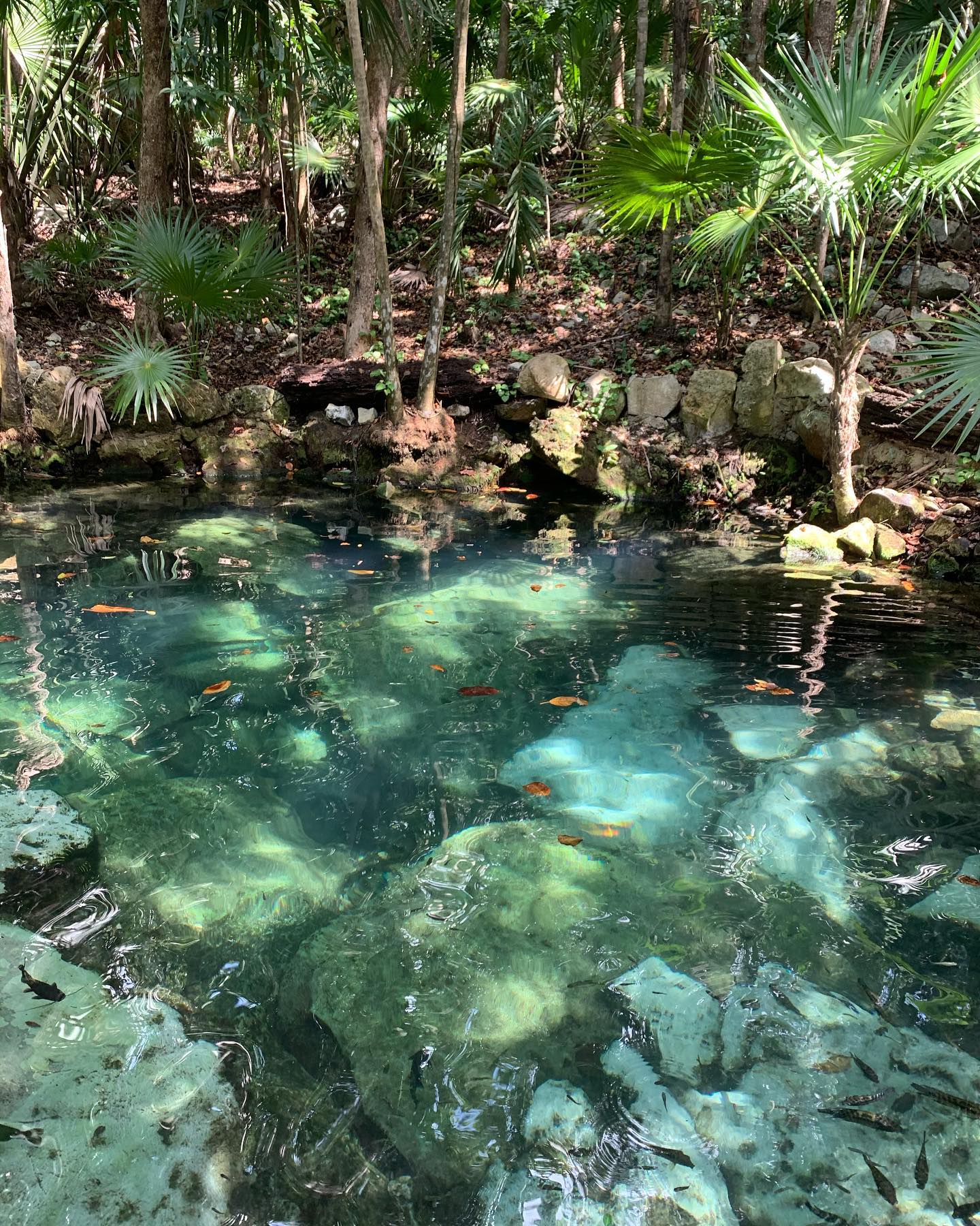 daniel_shallom instagram image archive image