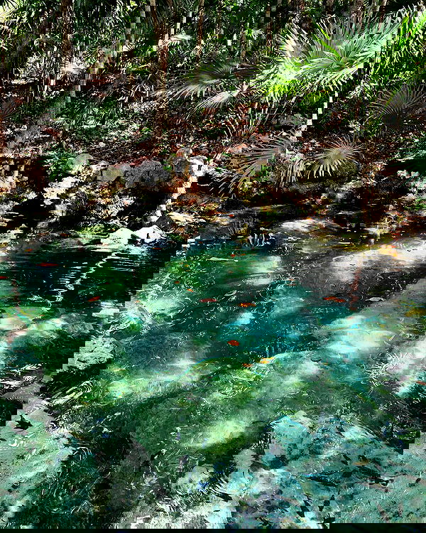 daniel_shallom image ~ Altpins