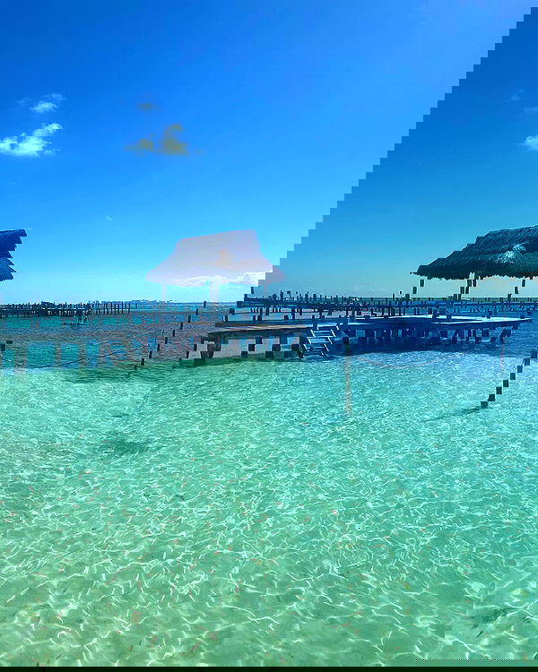 daniel_shallom image ~ Altpins