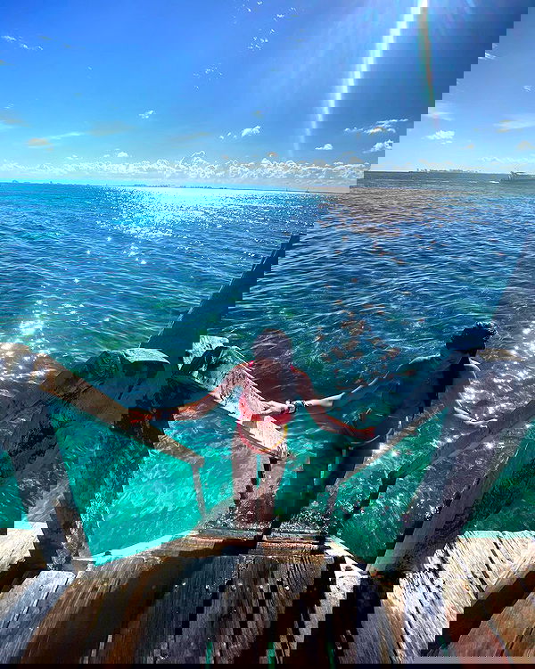 daniel_shallom image ~ Altpins