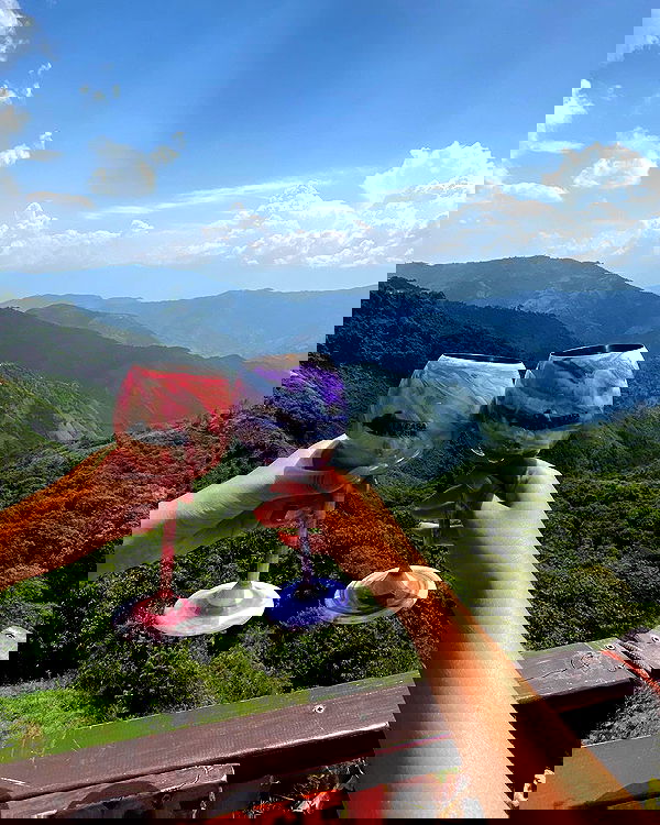 daniel_shallom image ~ Altpins