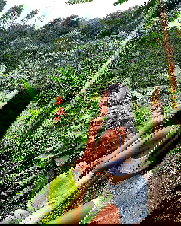 daniel_shallom image ~ Altpins