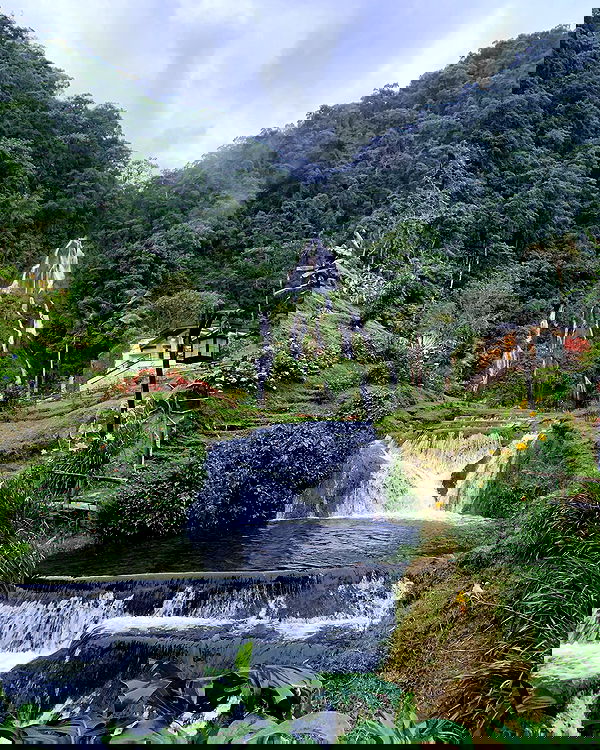 daniel_shallom image ~ Altpins