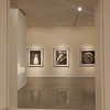 daniela.pritika Altpins Profile Picture