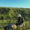 daniela.pritika Altpins Profile Picture