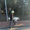 daniela.pritika Altpins Profile Picture