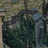 daniela.pritika Altpins Profile Picture