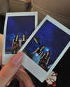 daniela.pritika Altpins Profile Picture