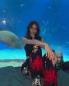 daniela.pritika Altpins Profile Picture