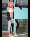 daniella_kristya Altpins Profile Picture