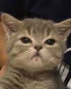 daniiiiichka Altpins Profile Picture