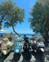 dari.hurvits Altpins Profile Picture