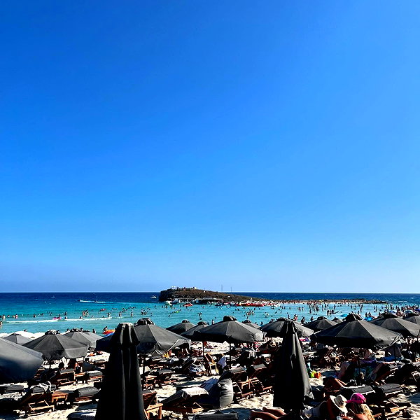 dari.hurvits instagram image archive image