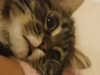 darkiexgirl Altpins Profile Picture