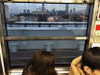 dasha.ilyushchyts Altpins Profile Picture
