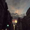 dasha.ilyushchyts Altpins Profile Picture