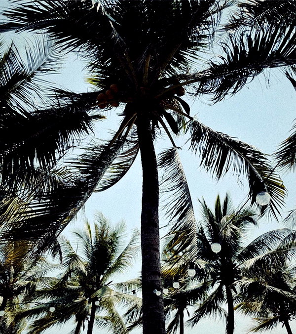 dasha.ilyushchyts instagram image archive image