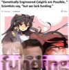 deadgjrl Altpins Profile Picture