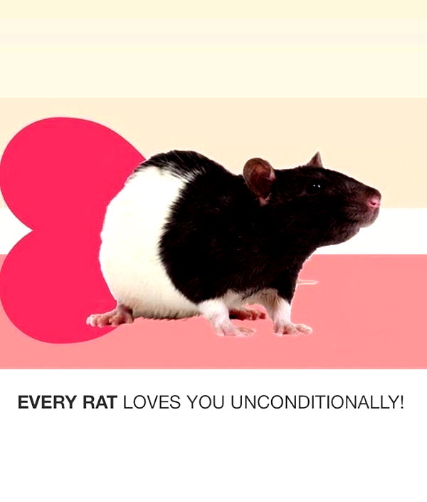 deadgjrl instagram image archive image