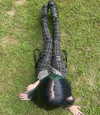 deadgjrl Altpins Profile Picture