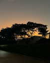 dianavgalvis Altpins Profile Picture