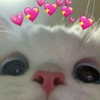 didicandy666 Altpins Profile Picture