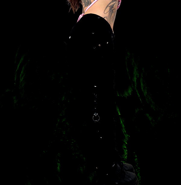 disturbbiizz disturbbiizz archive image